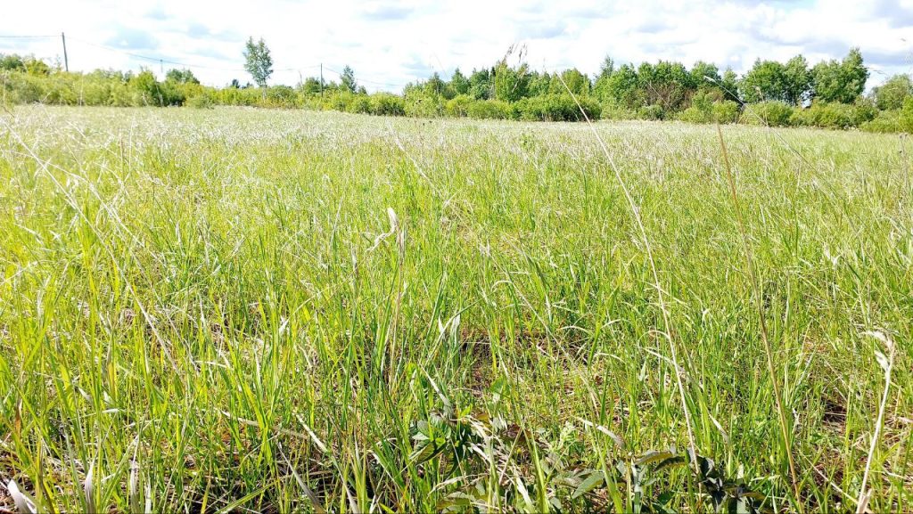 Участок 10 сот. (ИЖС)
Ленинградская обл., Гатчинский муниципальный округ, д. Виркино
Киевское шоссе, 37 км