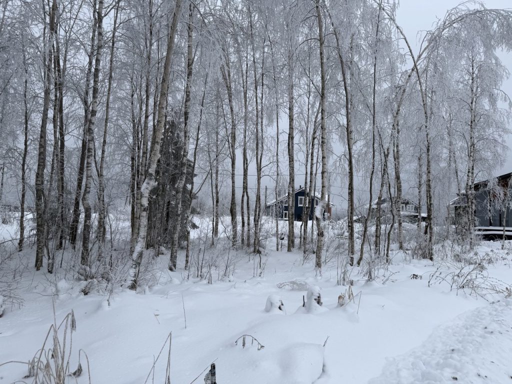 Участок 8,7 сот. (СНТ, ДНП)


Ленинградская область., Всеволожский район, Лесколовское сельское поселение, ДНП Пять холмов, Трасса "Сортавала", 20 км