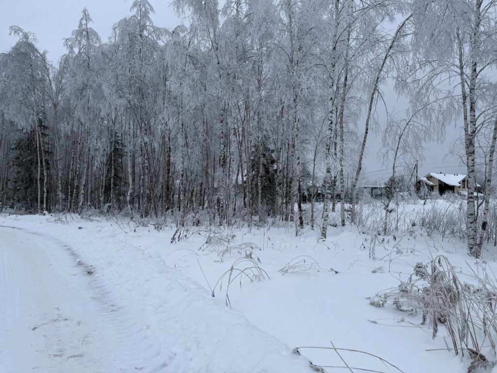 Участок 8,7 сот. (СНТ, ДНП)


Ленинградская область., Всеволожский район, Лесколовское сельское поселение, ДНП Пять холмов, Трасса "Сортавала", 20 км