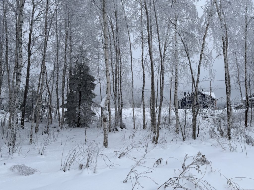 Участок 8,7 сот. (СНТ, ДНП)


Ленинградская область., Всеволожский район, Лесколовское сельское поселение, ДНП Пять холмов, Трасса "Сортавала", 20 км